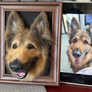 Framed Pet Portrait-Dog