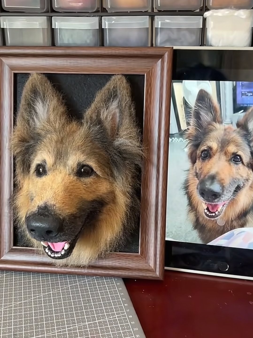 Framed Pet Portrait-Dog