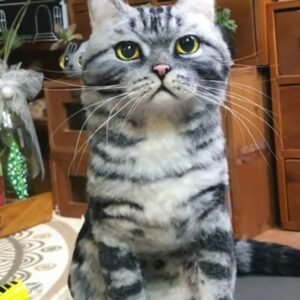 Full Body Figurine-Cat