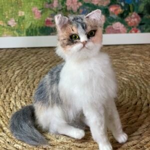 Calico Cat