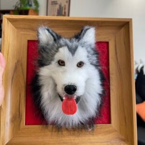 Border Collie Portrait