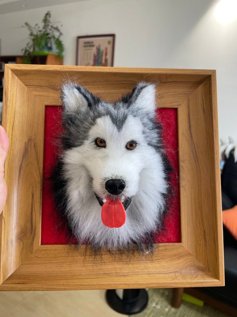 Border Collie Portrait