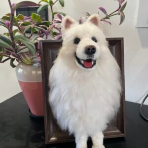 Samoyed Portrait