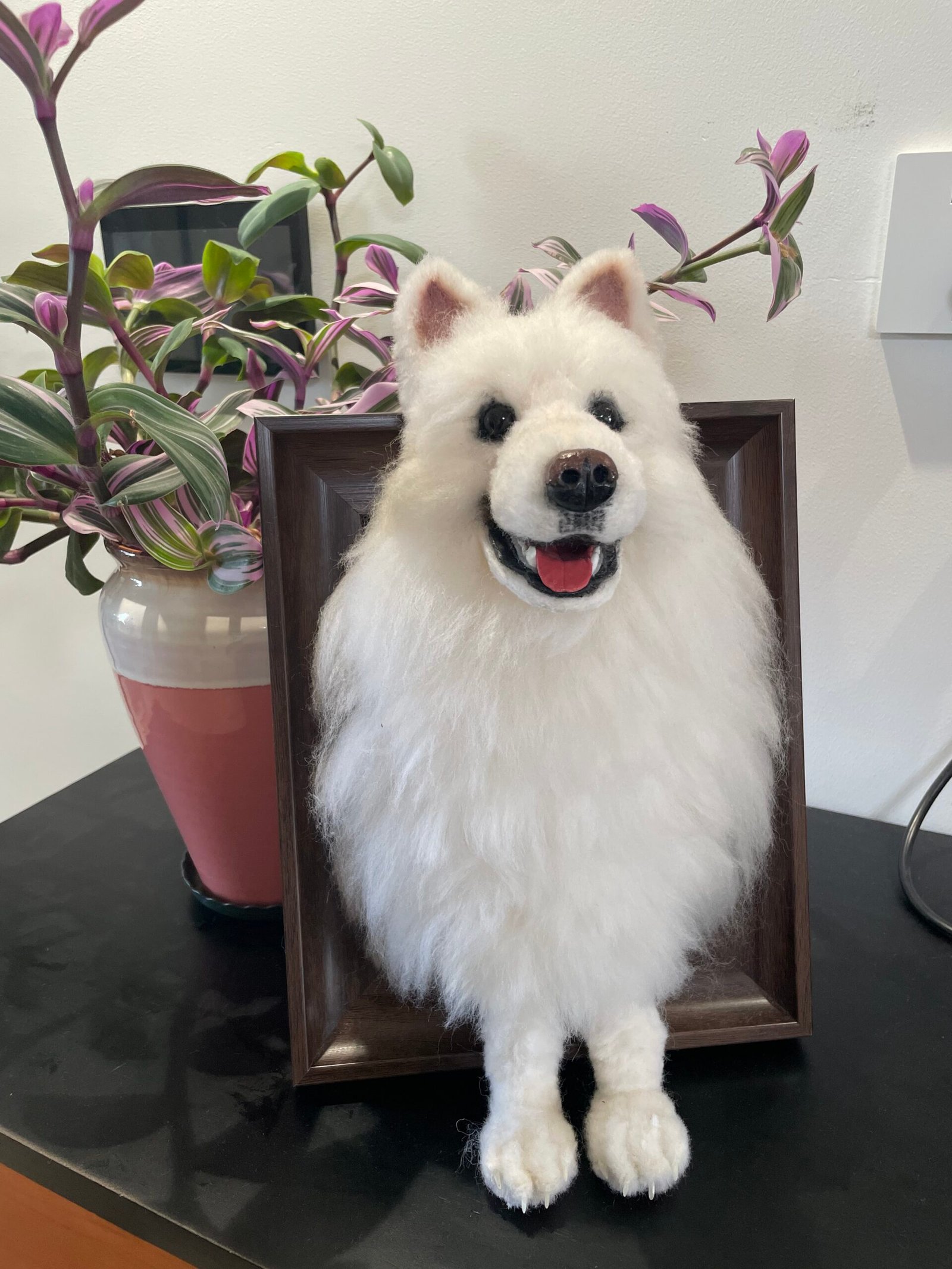 Samoyed Portrait